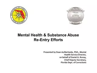 Mental Health &amp; Substance Abuse Re-Entry Efforts