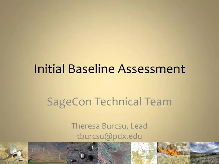 initial baseline assessment