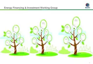 Energy Financing &amp; Investment Working Group