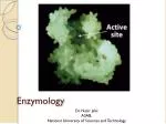Enzymology