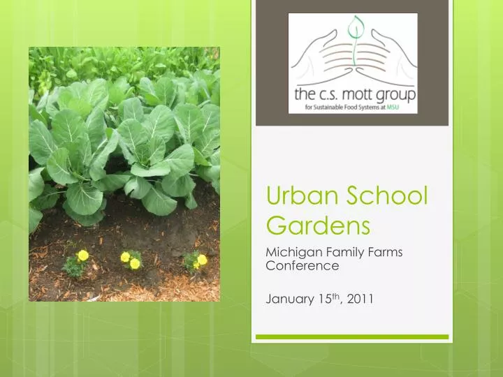 urban school gardens
