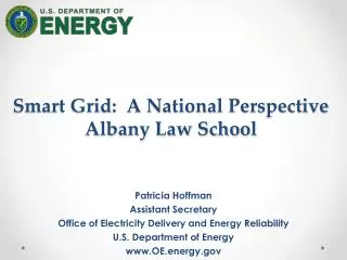 Smart Grid: A National Perspective Albany Law School