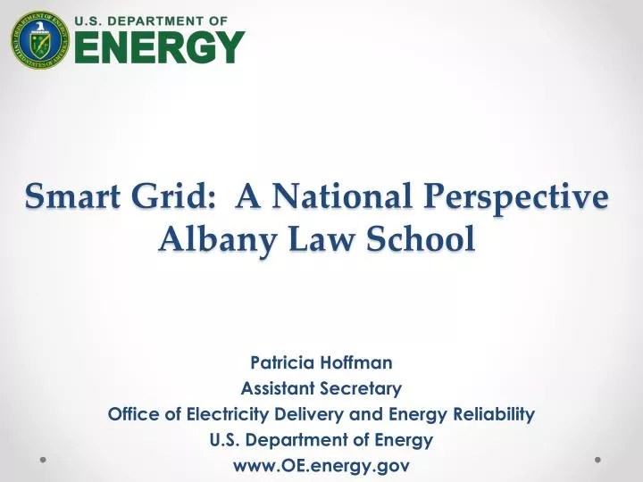 smart grid a national perspective albany law school
