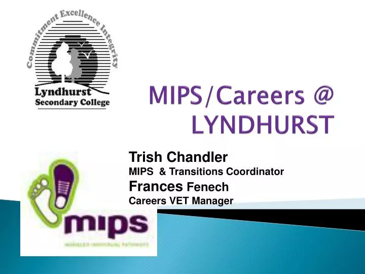 mips careers @ lyndhurst