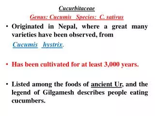 Cucurbitaceae Genus: Cucumis Species: C. sativus Originated in Nepal, where a great many varieties have been observe