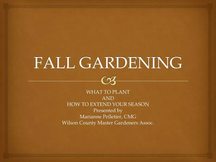 fall gardening