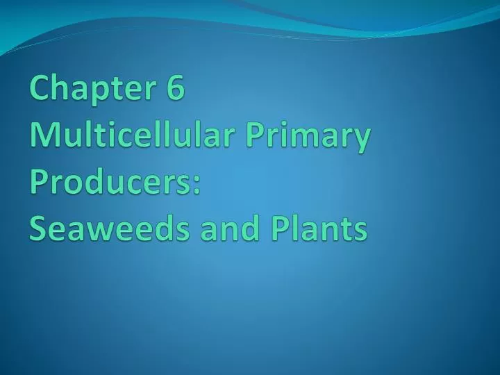 chapter 6 multicellular primary producers seaweeds and plants