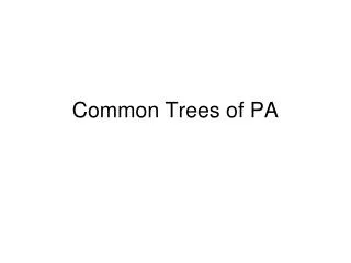 Common Trees of PA