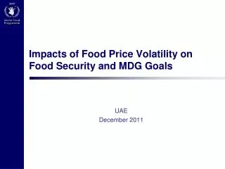 Impacts of Food Price Volatility on Food Security and MDG Goals