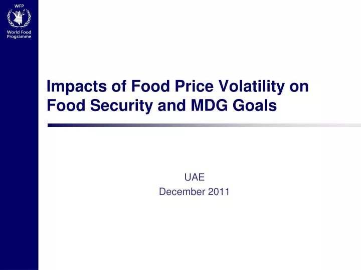 impacts of food price volatility on food security and mdg goals
