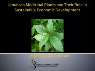 Jamaican Medicinal Plants and Their Role in Sustainable Economic Development