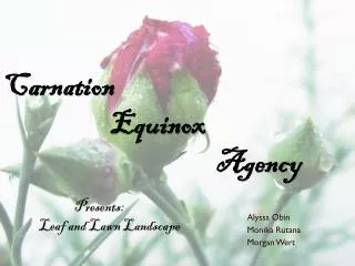 Carnation 			Equinox 						Agency 	Presents: 	Leaf and Lawn Landscape