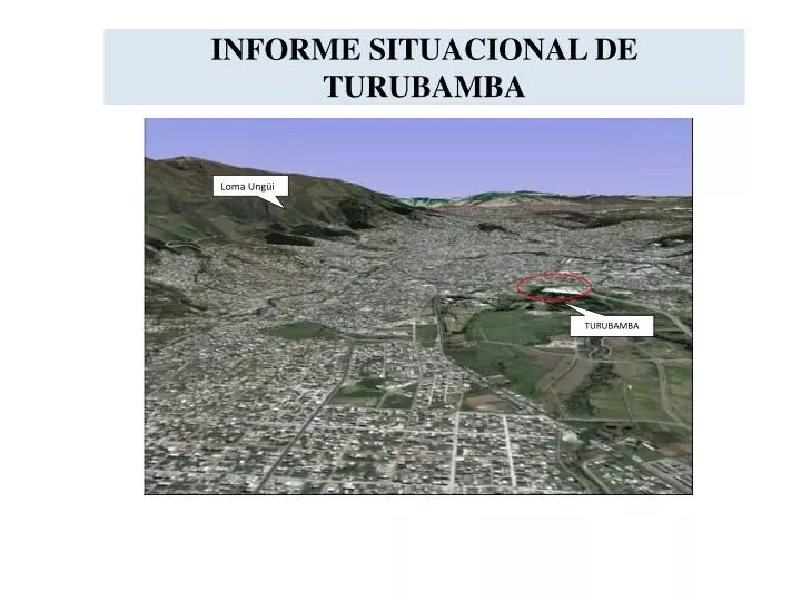 informe situacional de turubamba