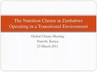 The Nutrition Cluster in Zimbabwe Operating in a Transitional Environment
