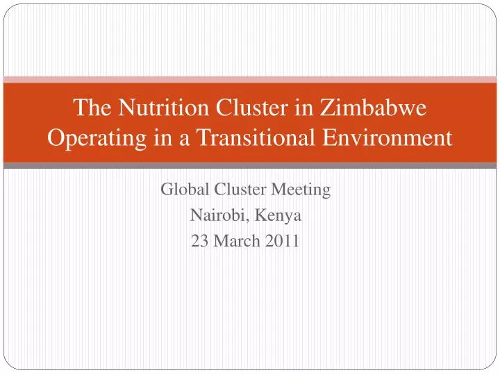 the nutrition cluster in zimbabwe operating in a transitional environment