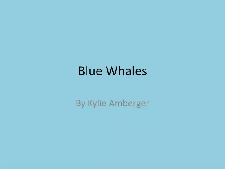 blue whales