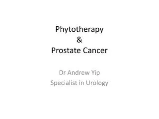 Phytotherapy &amp; Prostate Cancer