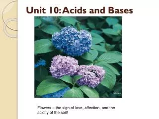 Unit 10: Acids and Bases
