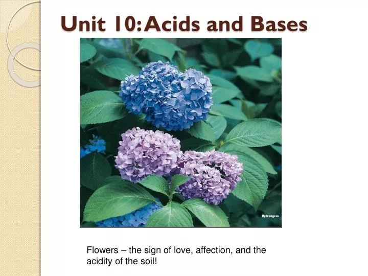 unit 10 acids and bases