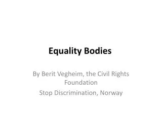 Equality Bodies