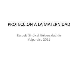 proteccion a la maternidad