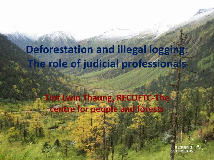 deforestation and illegal logging the role of judicial professionals