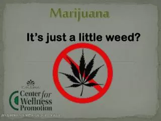 Marijuana