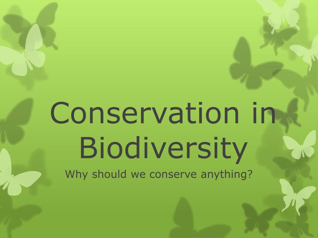 PPT - Conservation in Biodiversity PowerPoint Presentation, free ...