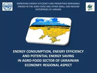 ENERGY CONSUMPTION, ENEGRY EFFICIENCY AND POTENTIAL ENERGY SAVING IN AGRO-FOOD SECTOR OF UKRAINIAN ECONOMY: REGIONAL ASP