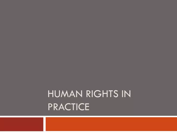 human rights in practice