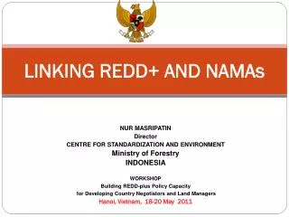 LINKING REDD+ AND NAMAs