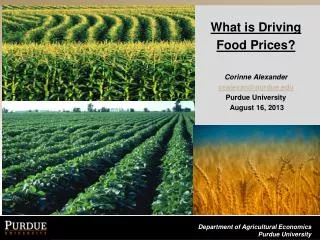 What is Driving Food Prices? Corinne Alexander cealexan@purdue.edu Purdue University August 16, 2013