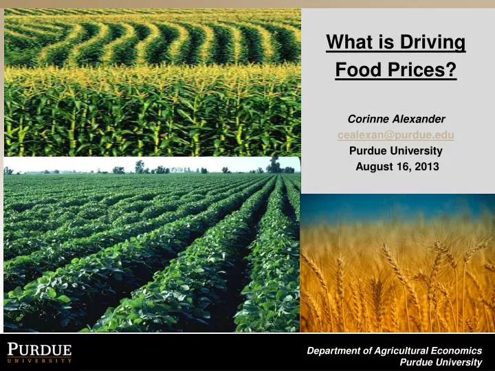 what is driving food prices corinne alexander cealexan@purdue edu purdue university august 16 2013
