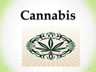 Cannabis