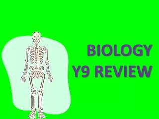Biology Y9 REVIEW