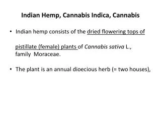 Indian Hemp, Cannabis Indica, Cannabis
