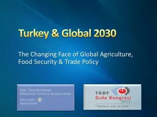 Turkey &amp; Global 2030