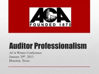 Auditor Professionalism