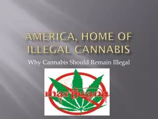 America, Home of Illegal Cannabis