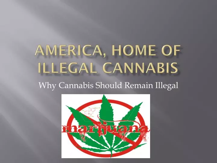 america home of illegal cannabis