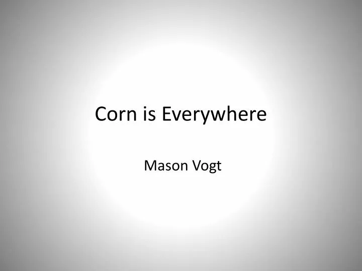 corn is everywhere