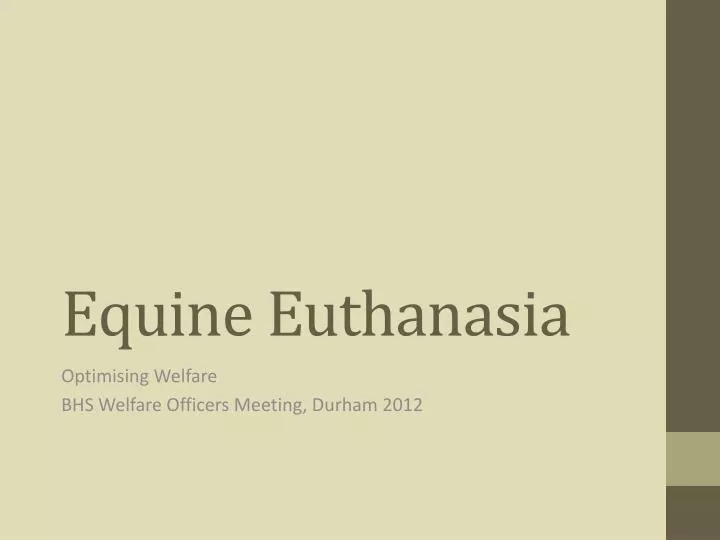 equine euthanasia