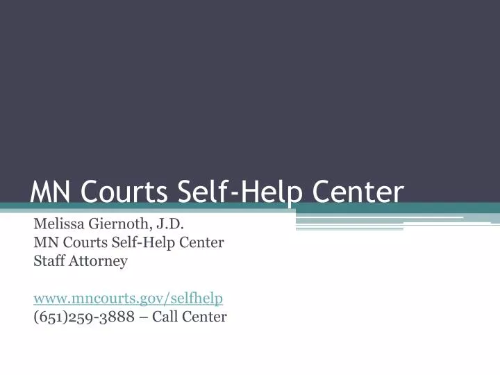 mn courts self help center