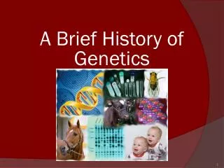 A Brief History of Genetics