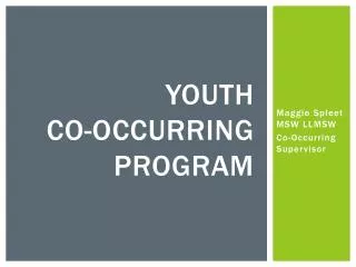 Youth Co-occurring Program