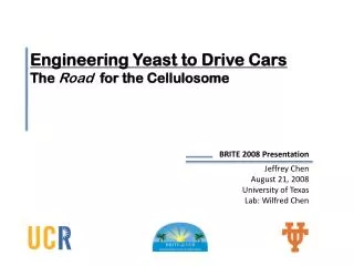 Engineering Yeast to Drive Cars The Road for the Cellulosome