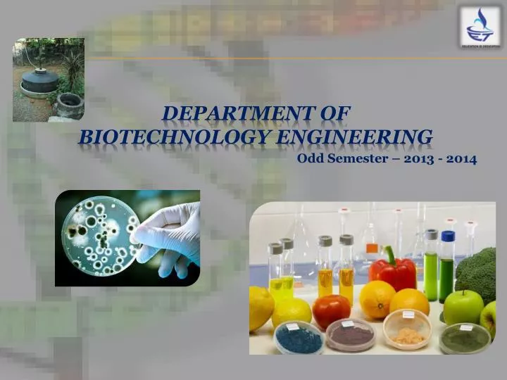 department of biotechnology engineering