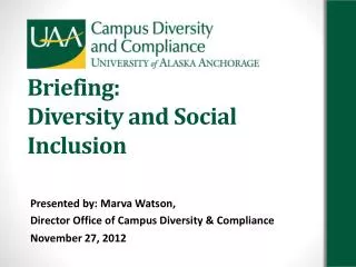 Briefing: Diversity and Social Inclusion