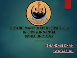 Genetic manipulation strategies in environmental biotechnology