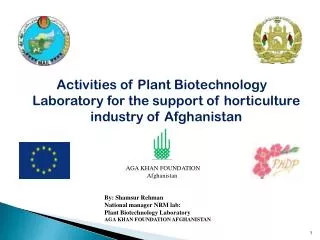 Activities of Plant Biotechnology Laboratory for the support of horticulture industry of Afghanistan